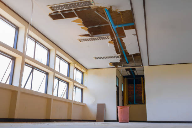Best Professional water damage repair  in Peshtigo, WI