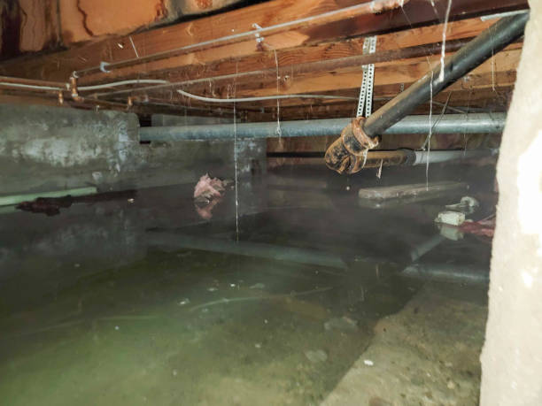 Best Residential water damage restoration  in Peshtigo, WI