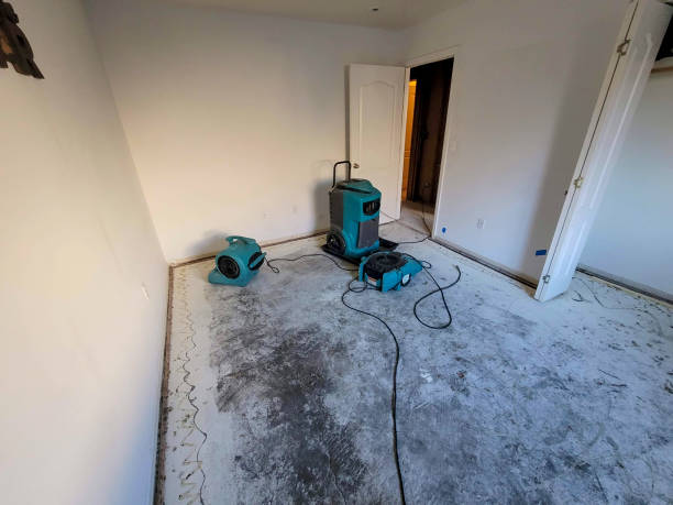 Best Water damage mitigation services  in Peshtigo, WI