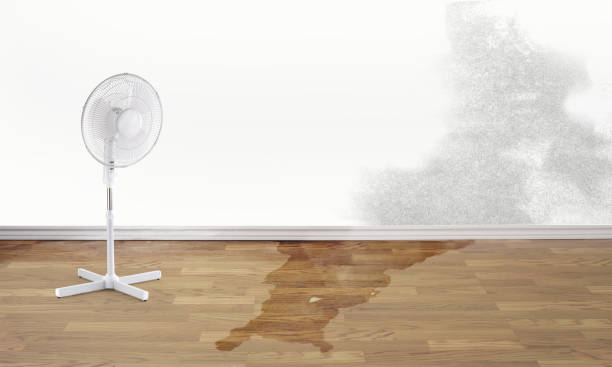 Best Commercial water damage restoration  in Peshtigo, WI
