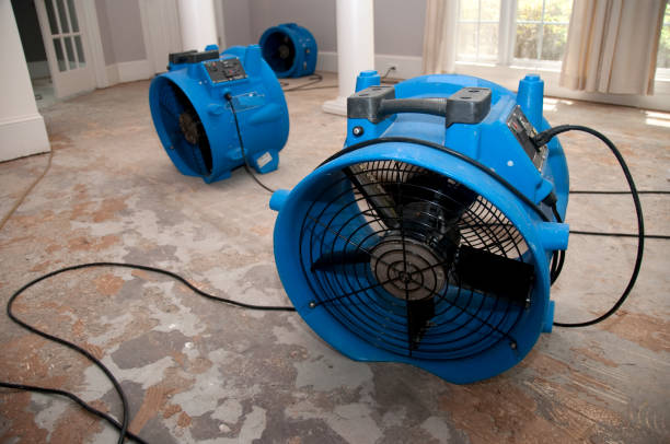 Best 24-hour water damage restoration  in Peshtigo, WI