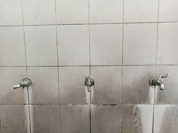Best Flooded house restoration  in Peshtigo, WI