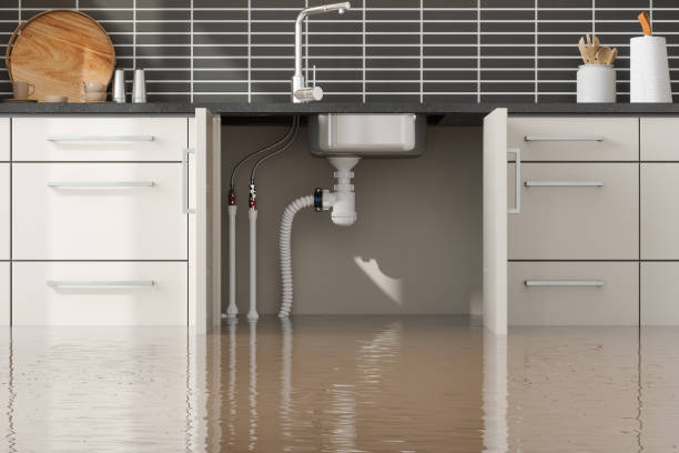 Best Flood damage cleanup  in Peshtigo, WI