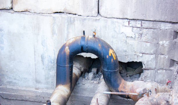 Best Mold removal after water damage  in Peshtigo, WI