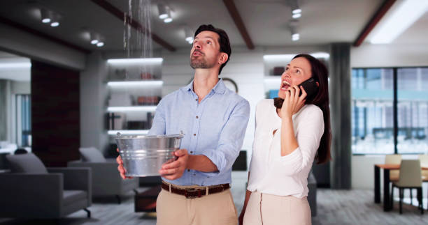 Best Local water damage restoration  in Peshtigo, WI