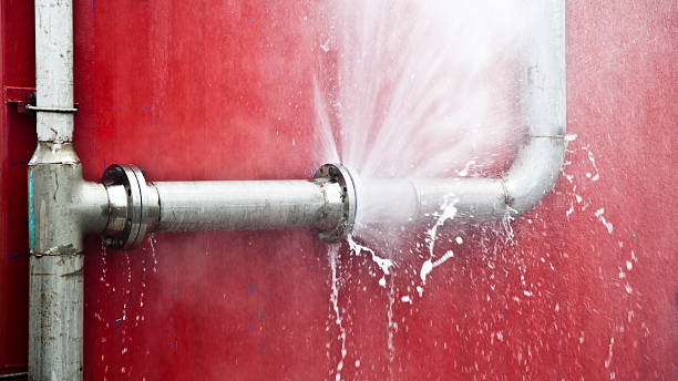 Best Basement water damage restoration  in Peshtigo, WI